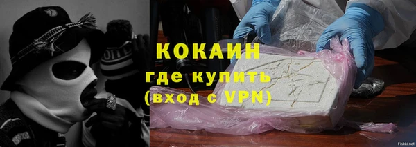 прущие грибы Арсеньев