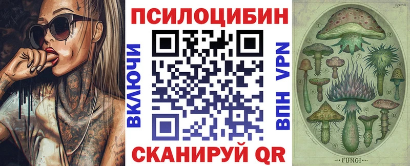 Галлюциногенные грибы Psilocybine cubensis  Таруса 