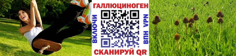 Псилоцибиновые грибы мухоморы Таруса